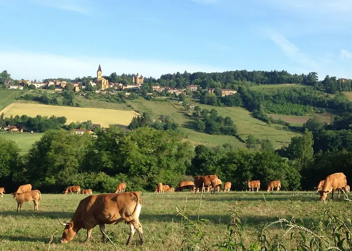 Lao 3* Bully (Rhone)